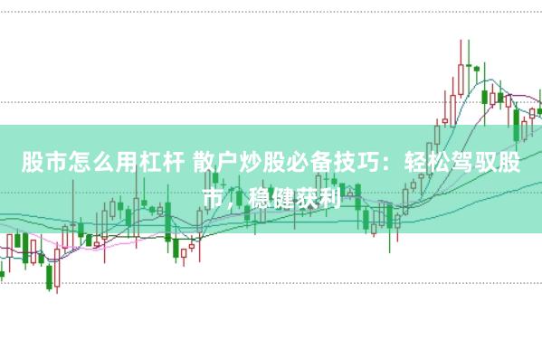 股市怎么用杠杆 散户炒股必备技巧：轻松驾驭股市，稳健获利