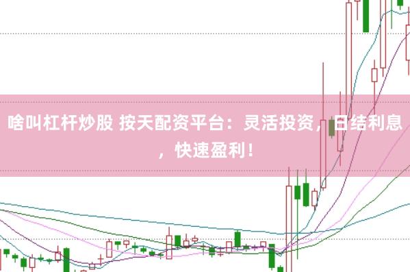 啥叫杠杆炒股 按天配资平台：灵活投资，日结利息，快速盈利！