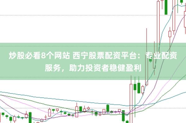 炒股必看8个网站 西宁股票配资平台：专业配资服务，助力投资者稳健盈利