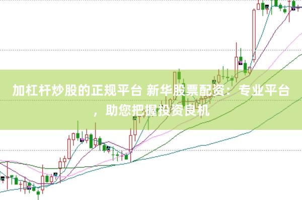 加杠杆炒股的正规平台 新华股票配资：专业平台，助您把握投资良机