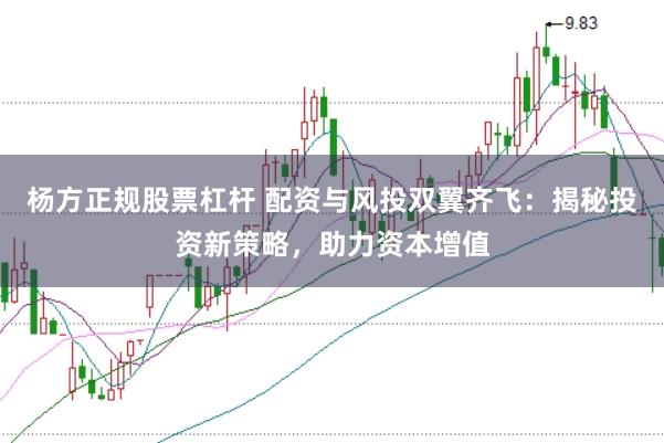 杨方正规股票杠杆 配资与风投双翼齐飞：揭秘投资新策略，助力资本增值