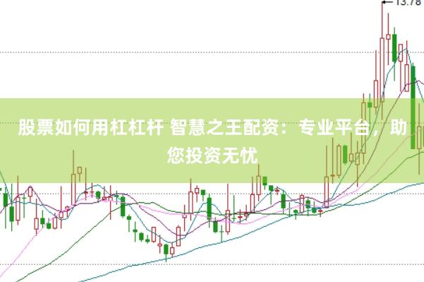 股票如何用杠杠杆 智慧之王配资：专业平台，助您投资无忧