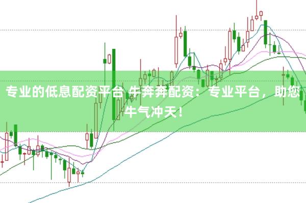 专业的低息配资平台 牛奔奔配资：专业平台，助您牛气冲天！