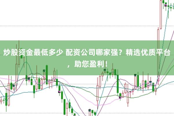 炒股资金最低多少 配资公司哪家强？精选优质平台，助您盈利！