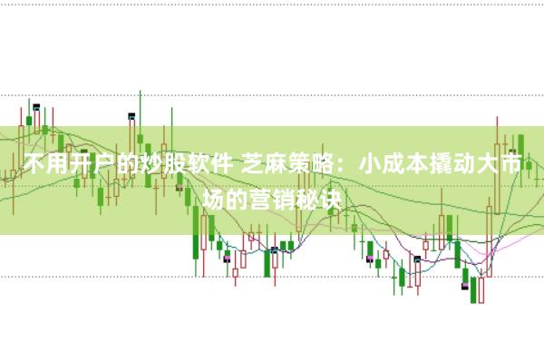 不用开户的炒股软件 芝麻策略：小成本撬动大市场的营销秘诀