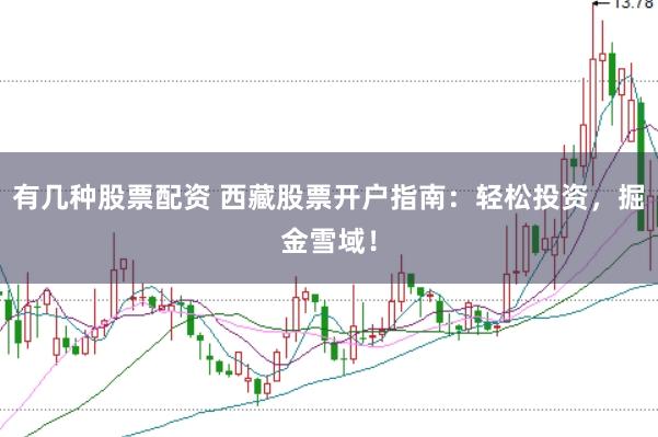 有几种股票配资 西藏股票开户指南：轻松投资，掘金雪域！
