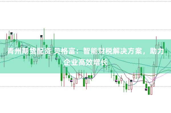 青州期货配资 贝格富：智能财税解决方案，助力企业高效增长
