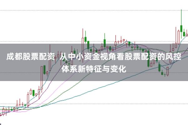 成都股票配资  从中小资金视角看股票配资的风控体系新特征与变化