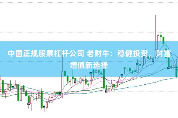 中国正规股票杠杆公司 老财牛:稳健投资,财富增值新选择